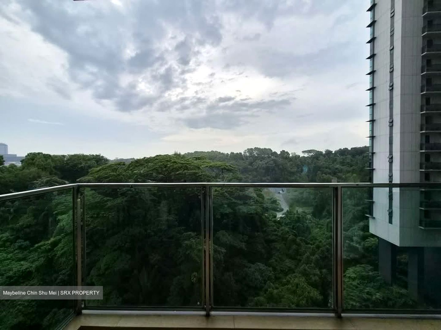 Normanton Park (D5), Apartment #597843951